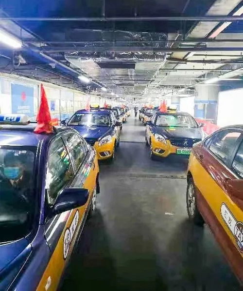 2021“原年人”的春運(yùn)堅(jiān)守 北京出租汽車和汽車租賃行業(yè)紀(jì)實(shí)